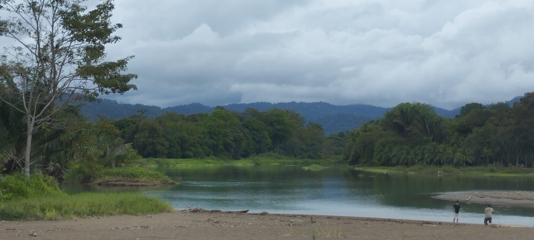 Wild river winding through the primary rainforest of the Osa Peninsula, Costa Rica