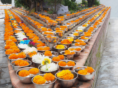 Marigold flower offerings in ceremonial bowls, Nepal