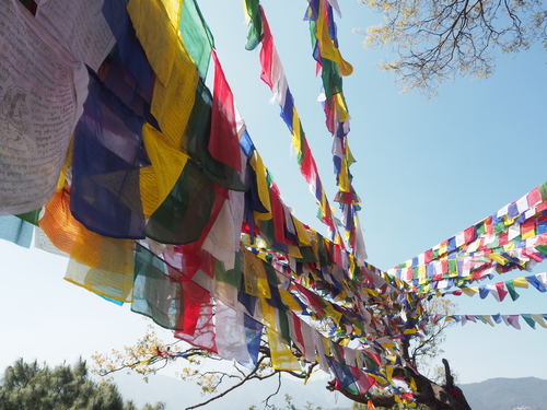 Buddhist prayer flags strung between trees, Nepal
